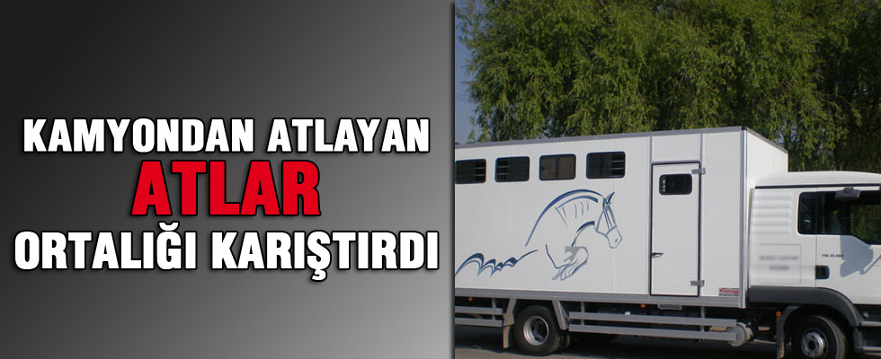 Kamyondan atlayan atlar trafik kazasına neden oldu