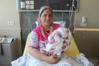DILRUBA - Konya'da Suda Doğum Başladı
