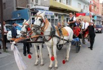 SEYFETTİN YILMAZ - MHP'li Yılmaz'ın Seçim Kampanyası Faytonla Renklendi