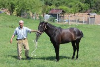 5 Bin Lira Maaşlı İşi Bıraktı