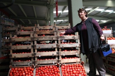 AK Parti Milletvekili Adayı Sıvacı Seçim Çalışmalarını Sürdürüyor