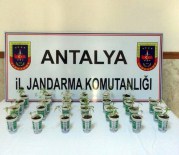 Ayran Kutusunda Kenevir