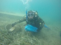 NURETTİN DEMİR - Başkan Kocadon, Gümbet'teki Deniz Dibi Temizliği Çalışmalarını İnceledi