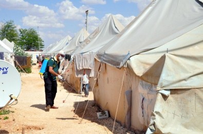 Çadır Kent Zararlı Böceklere Karşı İlaçlanıyor
