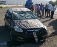 ENGİN KOÇAK - Elazığ'da Trafik Kazası Açıklaması 4 Yaralı