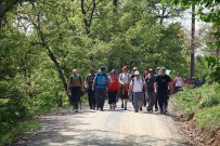 Ercova Yaylasında Yürüdüler