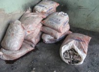 İNCİ KEFALİ - Jandarma Ekiplerinden İnci Kefali Operasyonu