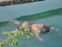 KADIN CESEDİ - Kanalda gördüğü kadın cesedini ayağından bağladı