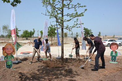 Kolpa'dan EXPO 2016'Ya Ağaç