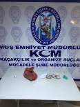 SÜTLÜCE - Muş'ta Esrar Operasyonu