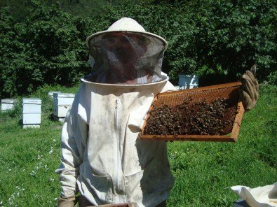 Alaplı-Gümeli Arıcılar Derneği Başkanı Tosun Açıklaması
