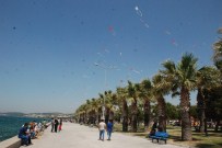 TÜRKIYE PETROL RAFINERILERI - Aliağa'da Uçurtmalar Gökyüzünü Süsledi