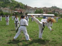 YUSUF GÖKHAN YOLCU - Niksar'da Gençlik 19 Mayıs'ta Buluştu