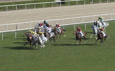 53. TBMM Koşusu'nu 'Karaüzüm'Kazandı