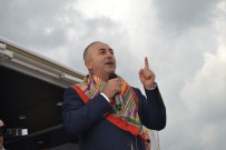 GEZİ OLAYLARI - Dışişleri Bakanı Mevlüt Çavuşoğlu; 'Bunlara İki Koyunu Teslim Etsen Birini Kaybeder, Diğerini Kurda Yedirir”