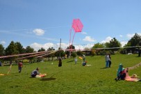 KAMU GÖREVİ - Gesi Mesire Alanı Genişletiliyor