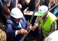 MUĞLA ORMAN BÖLGE MÜDÜRÜ - Orman Bakanı Eroğlu Zeytin Aşıladı