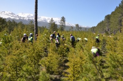Toplum Yararına Çalışma Programı, İşsizlere Umut Oldu