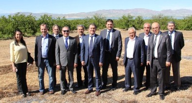 24 Yeni Ürün Çeşidi Meyvelerini Veriyor