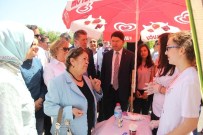 KÖKSAL TOPTAN - AK Parti Zonguldak Milletvekili Toptan Açıklaması 'Gençlerimize İmkan Vermeliyiz'