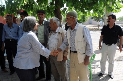 Diyarbakır Büyükşehir Belediyesi Yoksullar İçin Sebze Fideleri Ekti