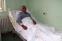 PELITÖZÜ - Kayıp Orman İşçisi Bulundu