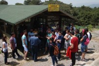 TIBBİ BİTKİLER - Kazdağları'nda Herbal House İle Bilim Turizmi Başladı