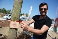 MURAT DALKILIÇ - Murat Dalkılıç,  EXPO Alanına Sığla Fidanı Dikti