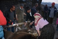 ORHAN ATALAY - Seçim Çalışmasında İlk Müdahale