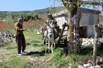 Su İçmeye Giderken Bile Ayrılmıyorlar