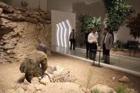 MOZAİK MÜZESİ - Türkiye'nin En Büyük Müzesinde Açılışa Doğru