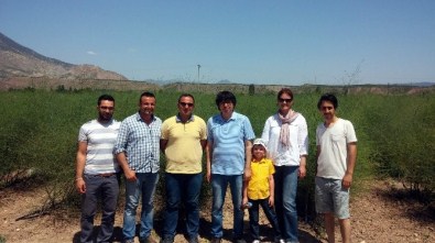 Türkiye'nin TEK Ticari 'Kuşkonmaz'ı Eskişehir'de Yetiştiriliyor