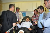 Yılanın Isırdığı Kişi Tedavi Altına Alındı