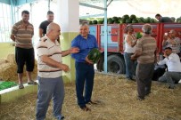 SEYFETTİN YILMAZ - Yılmaz Açıklaması 'Karpuzda İthalat Darbesine Son Vereceğiz'