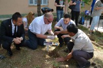 FLORANSA - Avrupa'dan Getirdikleri Fidanları Siirt'te Diktiler