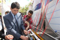 DÜNYA SÜT GÜNÜ - Bingöl'de 2 Bin Litre Süt Dağıtıldı