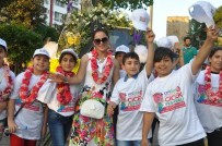 OSMAN BAĞDATLıOĞLU - Çiçeğin Hasat Bayramı Başlıyor