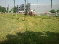 Hergeleci İbrahim Er Meydanı'nı Bakıma Alındı