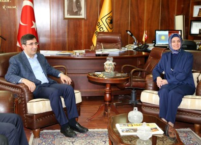 Kalkınma Bakanı Yılmaz, Diyarbakır'da