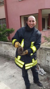 Kirpiyi İtfaiye Kurtardı