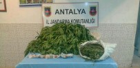 Manavgat'ta Uyuşturucu Operasyonu