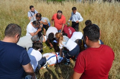 Muğla'da Trafik Kazası Açıklaması 1 Ölü, 5 Yaralı