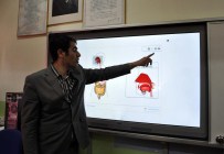 FATİH PROJESİ - Muş'ta Akıllı Tahta İle Eğitim Yaygınlaştı