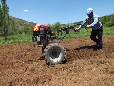 Toroslar'da Eşeğin Yerini 'Pat Pat' Alıyor