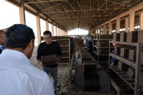 Tunceli'nin Tek Tuğla Fabrikası 5 Yıl Sonra Yeniden Açıldı