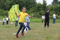 UÇURTMA ŞENLİĞİ - Uçurtma Şenliği Düzenlendi