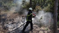 KENT ORMANI - Bilecik'te Orman Yangını