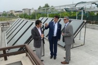 NECDET TÜRKER - Havuzlar Yaza Hazırlanıyor