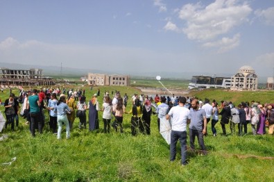 Muş Alparlan Üniversitesi'nde Uçurtma Şenliği