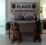 2 Eskort Araçla Uyuşturucu Taşıyan 5 Şüpheli Tutuklandı